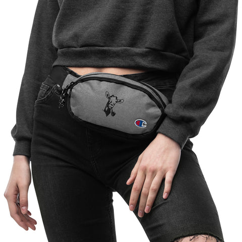 Champion Fanny Pack